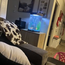 Fish Tank