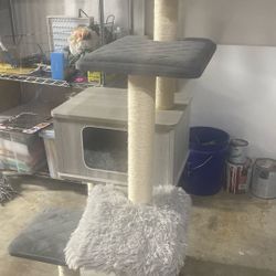 Cat Tree