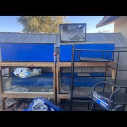 Fish Tank (Price For Each Set )