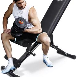 FLYBIRD Multifunctional Dumbbell Bench   New