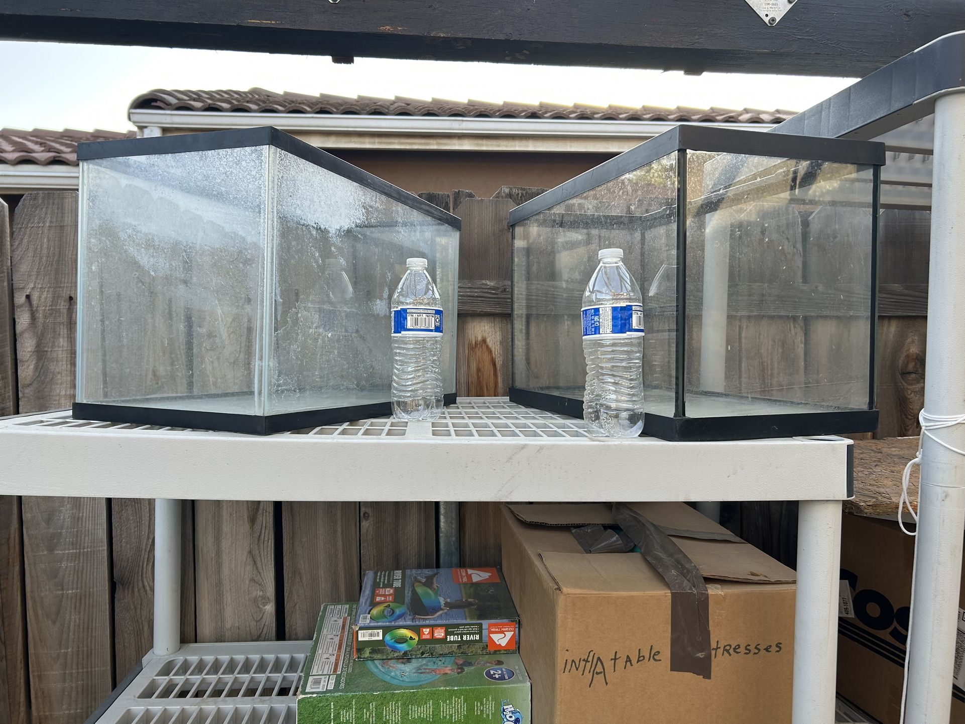 Fish Tank