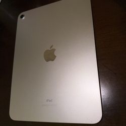 iPad 