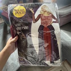 Hocus Pocus  Costume 