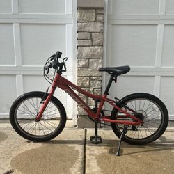 Giant XTC Jr 20 Lite Kids Trail Bike in Red Clay