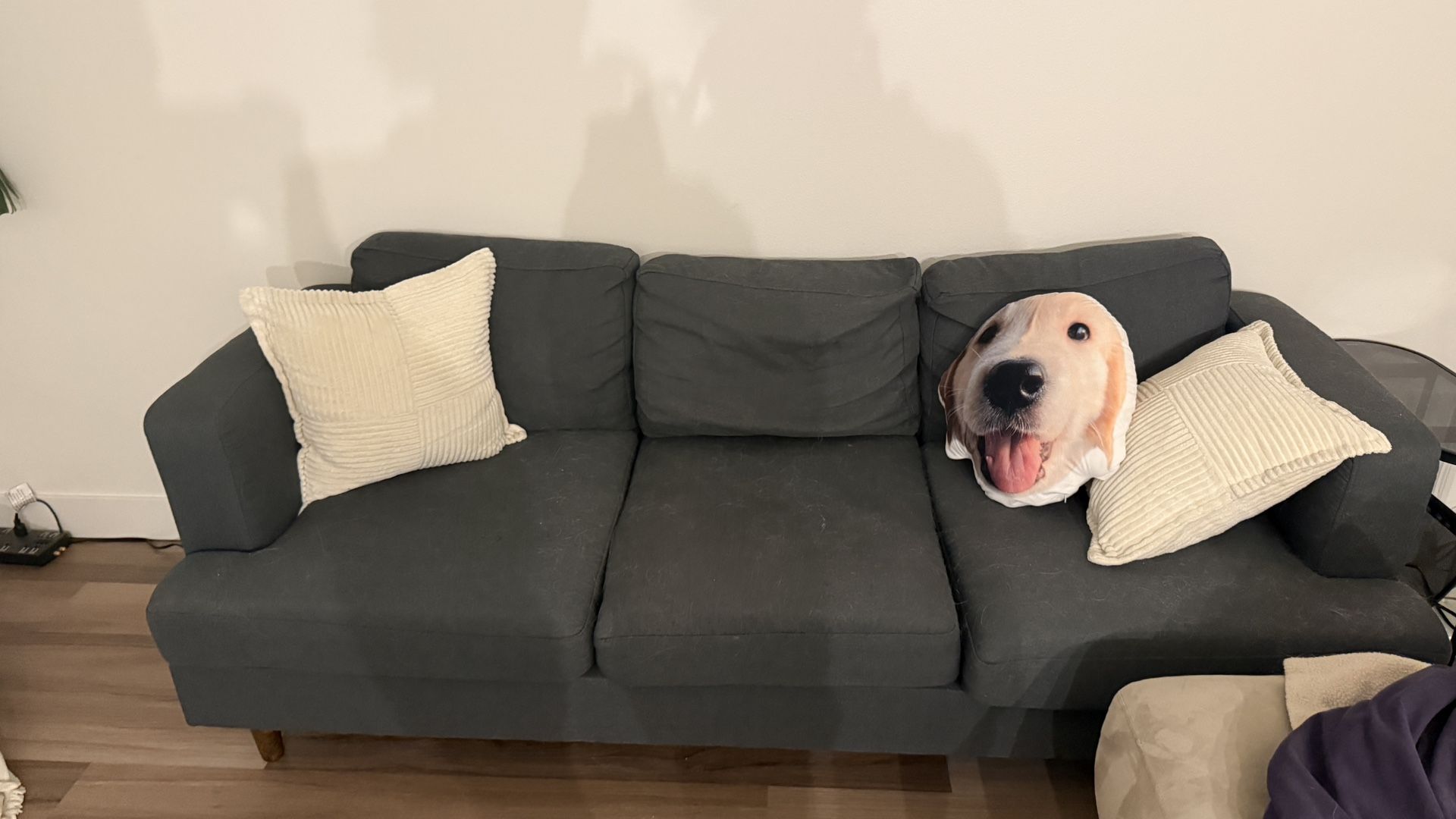 Dark Gray 3-Seater Sofa w/ USB& Power Outlet– $120 (Bellevue)