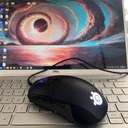 Steel series 310 Sansei Mouse 