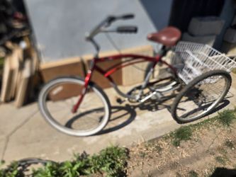 Schwinn Tricycle
