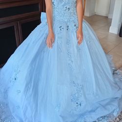 Brand New Quinceanera Dress