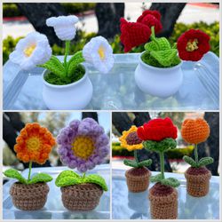 Crochet Flower Pots 
