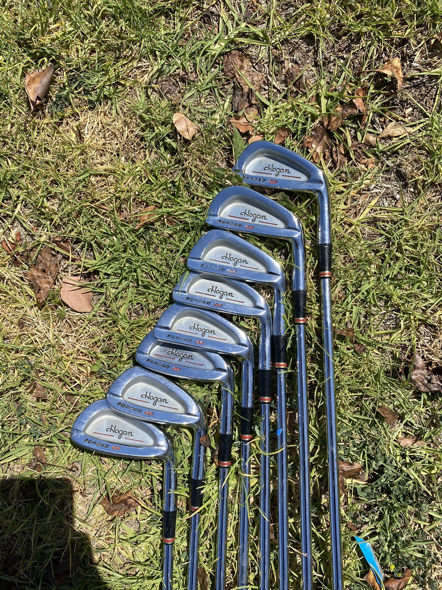 Hogan Forged Irons 3-E