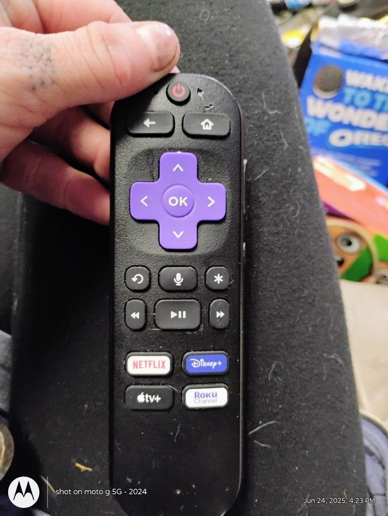 Roku Remote With Voice Control