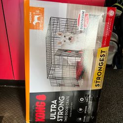 Kong Socrates For Sale