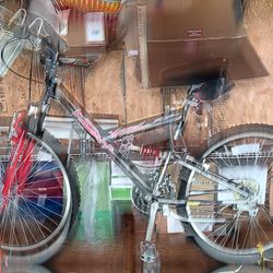 2 Mountain Bikes & Bike Rack