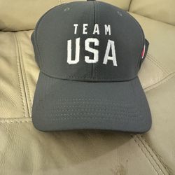 Team USA Fitted Hat