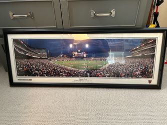 San Francisco Giants 2010 World Series game one panoramic.