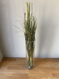 Tall Glass Vase