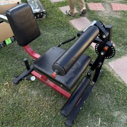 Leg Curls And Extension 