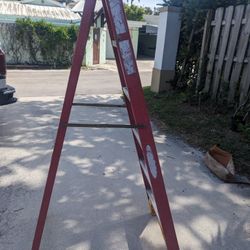 Werner 6 ft Fiberglass Ladder