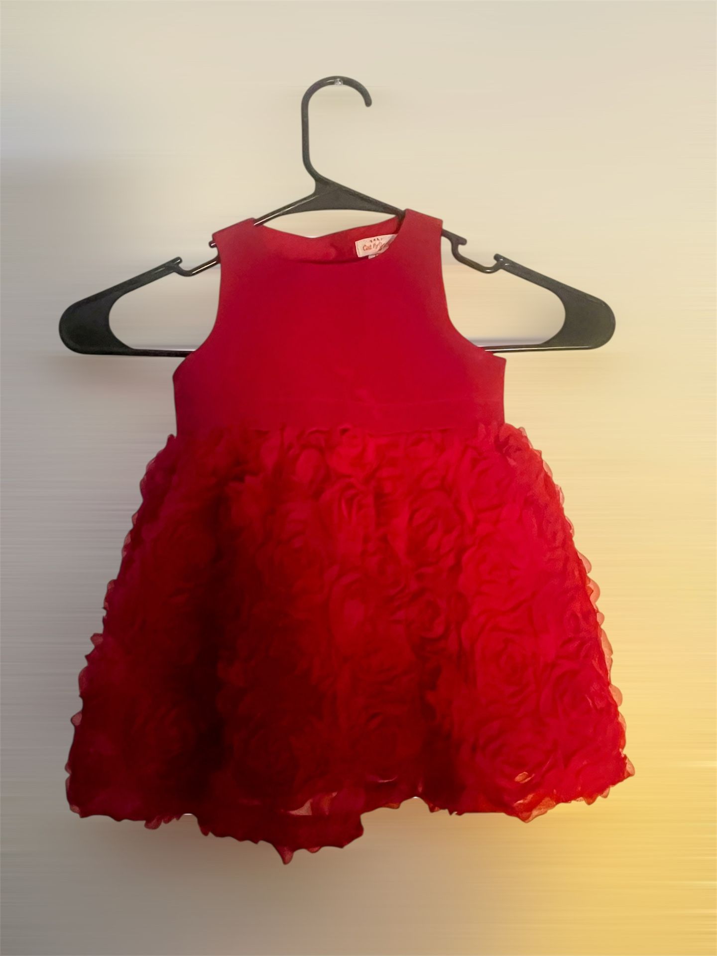 2 Toddler Girl dresses 12 months