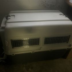 XXL Dog Crate (Like New) 