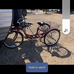 3 Wheel Adult Tricycle Cruiser  $350
