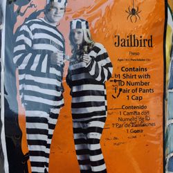 Halloween Costume - Jailbird For Man