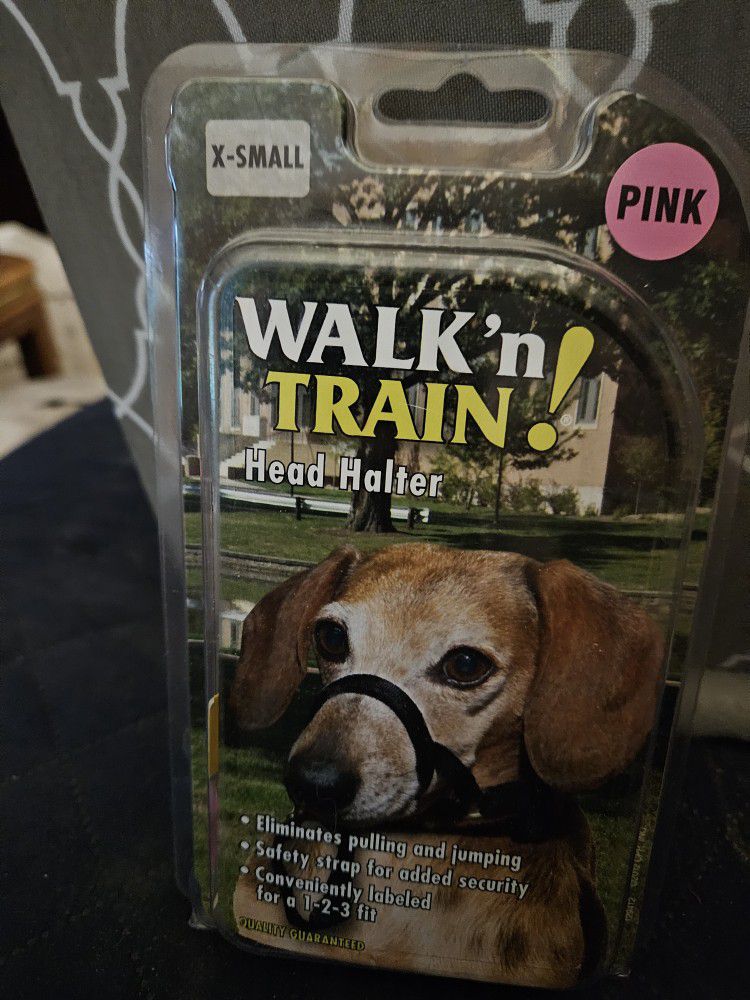 Walk And Train 