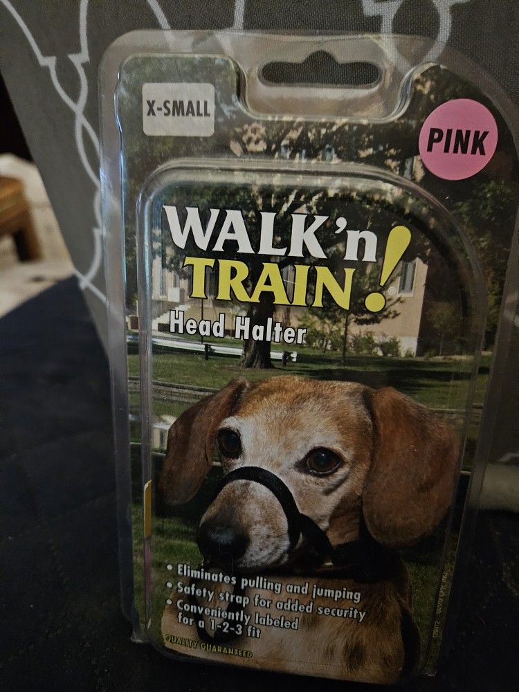 Walk And Train