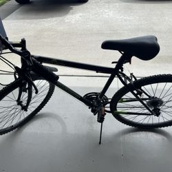 Northern Dynacraft Bike