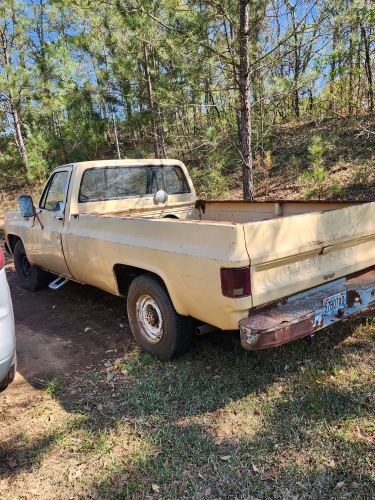 Chevy C20