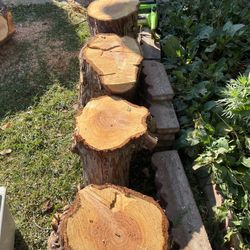 Redwood Pine Tree Stumps Each Sold Separately. 