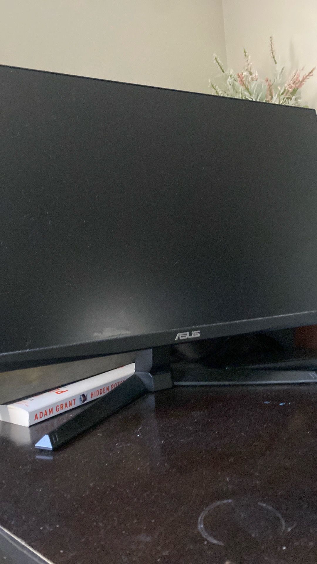 monitor