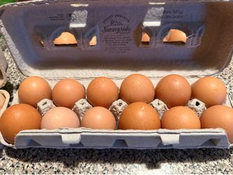 Organic Eggs- huevos organicos