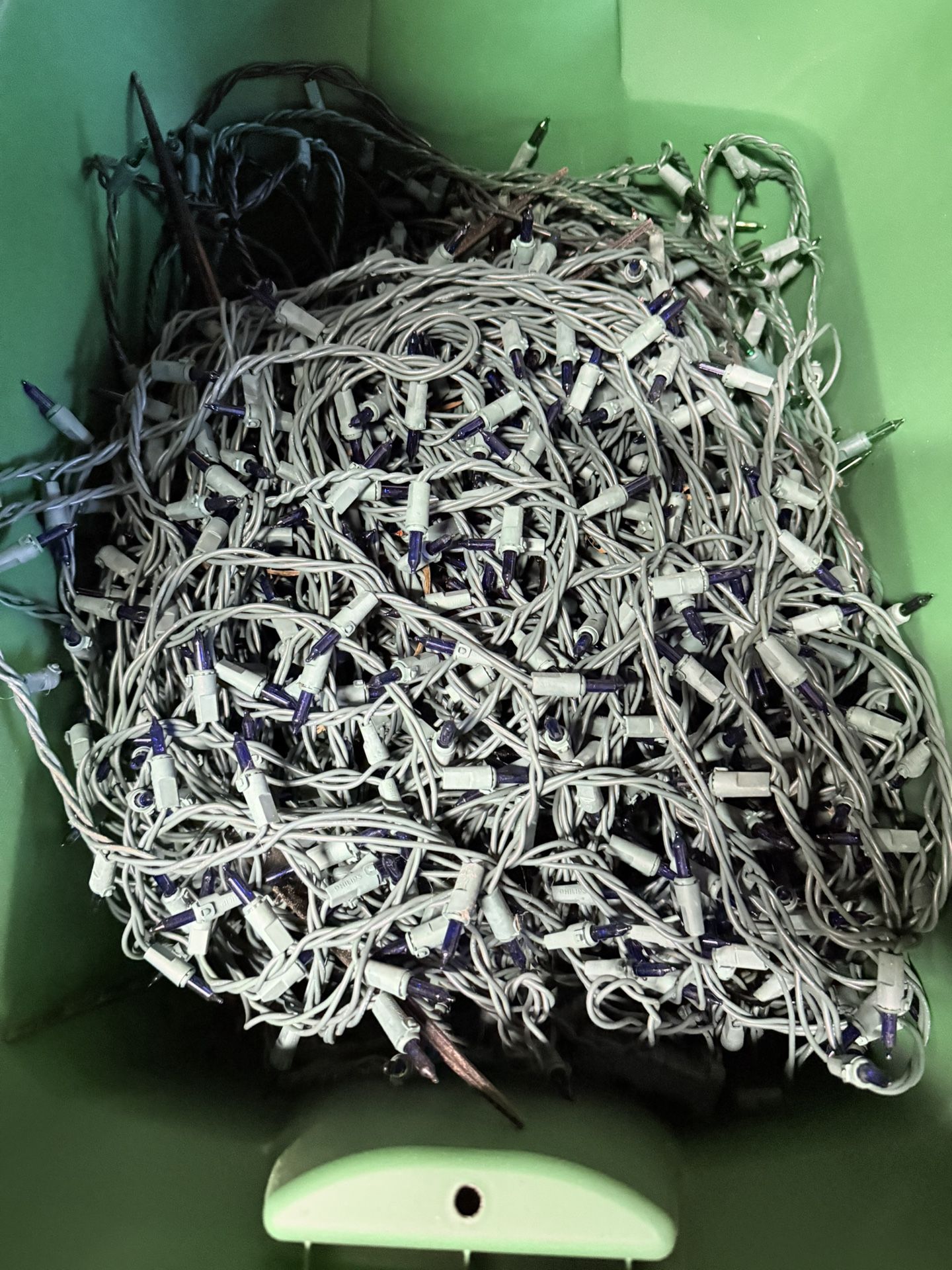 Strings Of 100’s Of Small Lights
