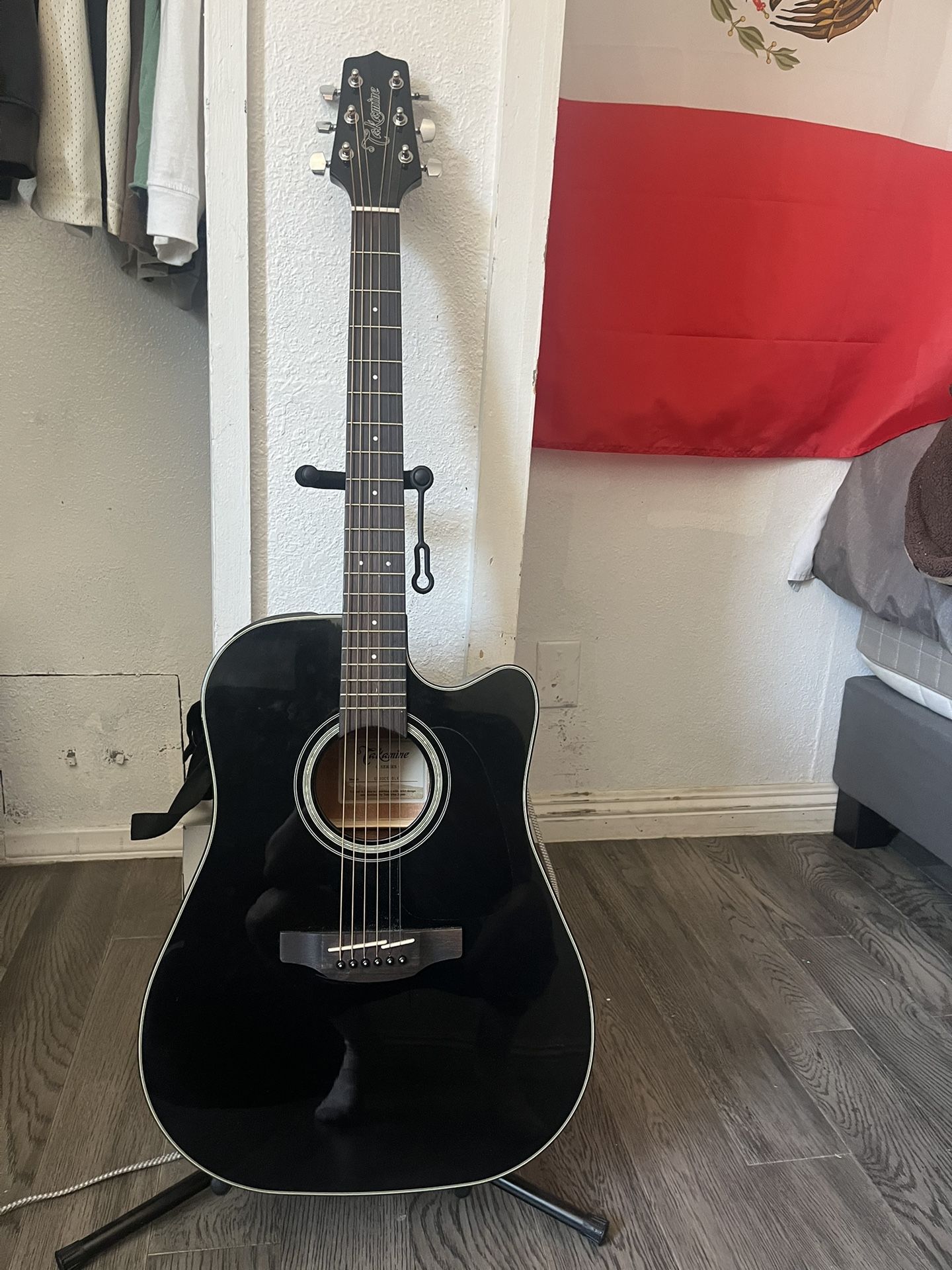 Takamine Series 6 String