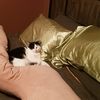 Tina