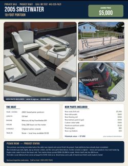 Pontoon boat 2005