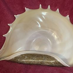 Krosno Jozefina Art Glass Conch Shell Centerpiece Bowl Hand Blown Made in Poland FLAWLESS!