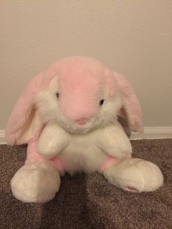 Bunny