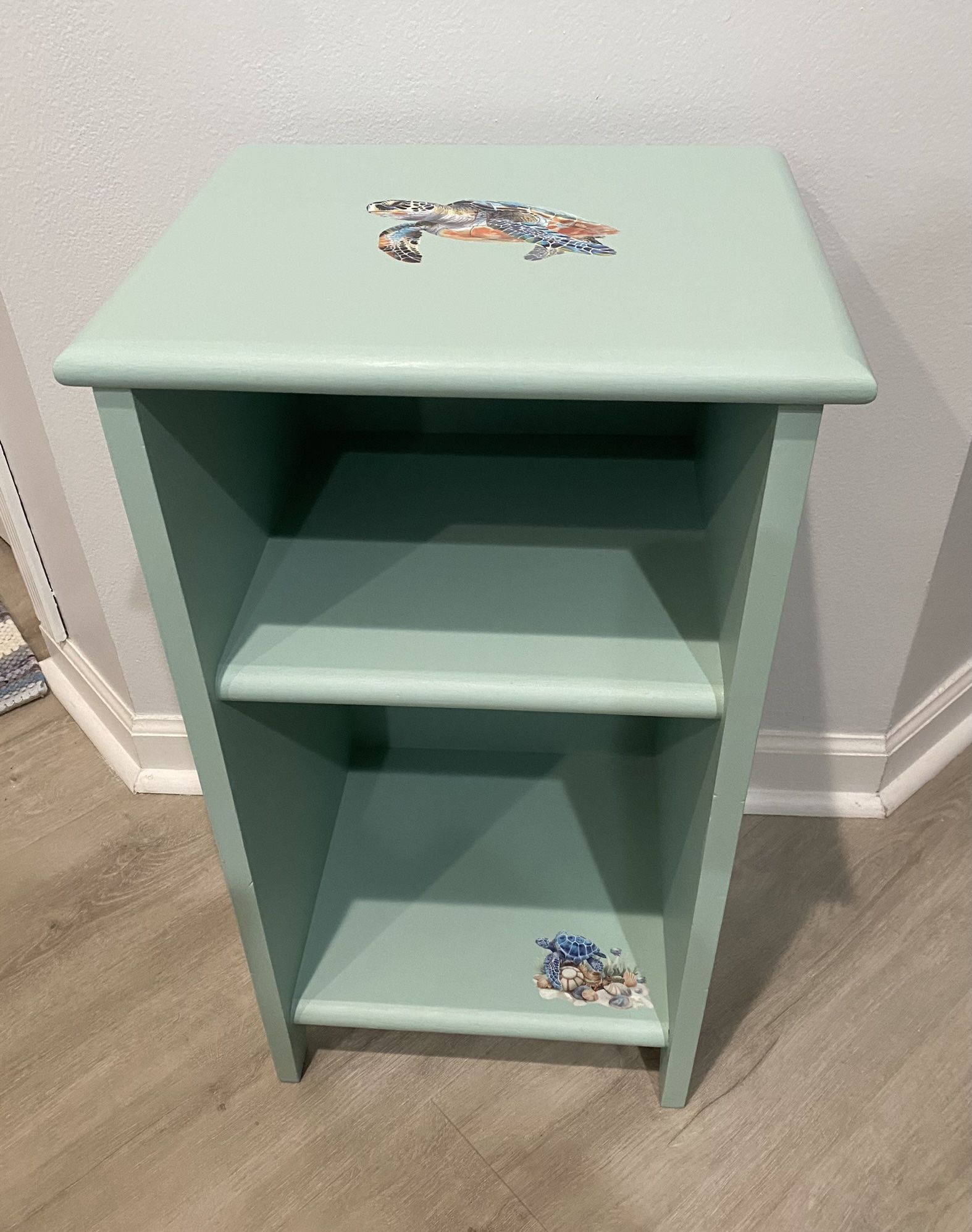 Two Shelf Cabinet -Turtles