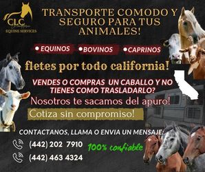 LA CANDELARIA EQUINE SERVICES