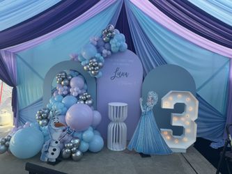 Birthday Frozen Set Up 