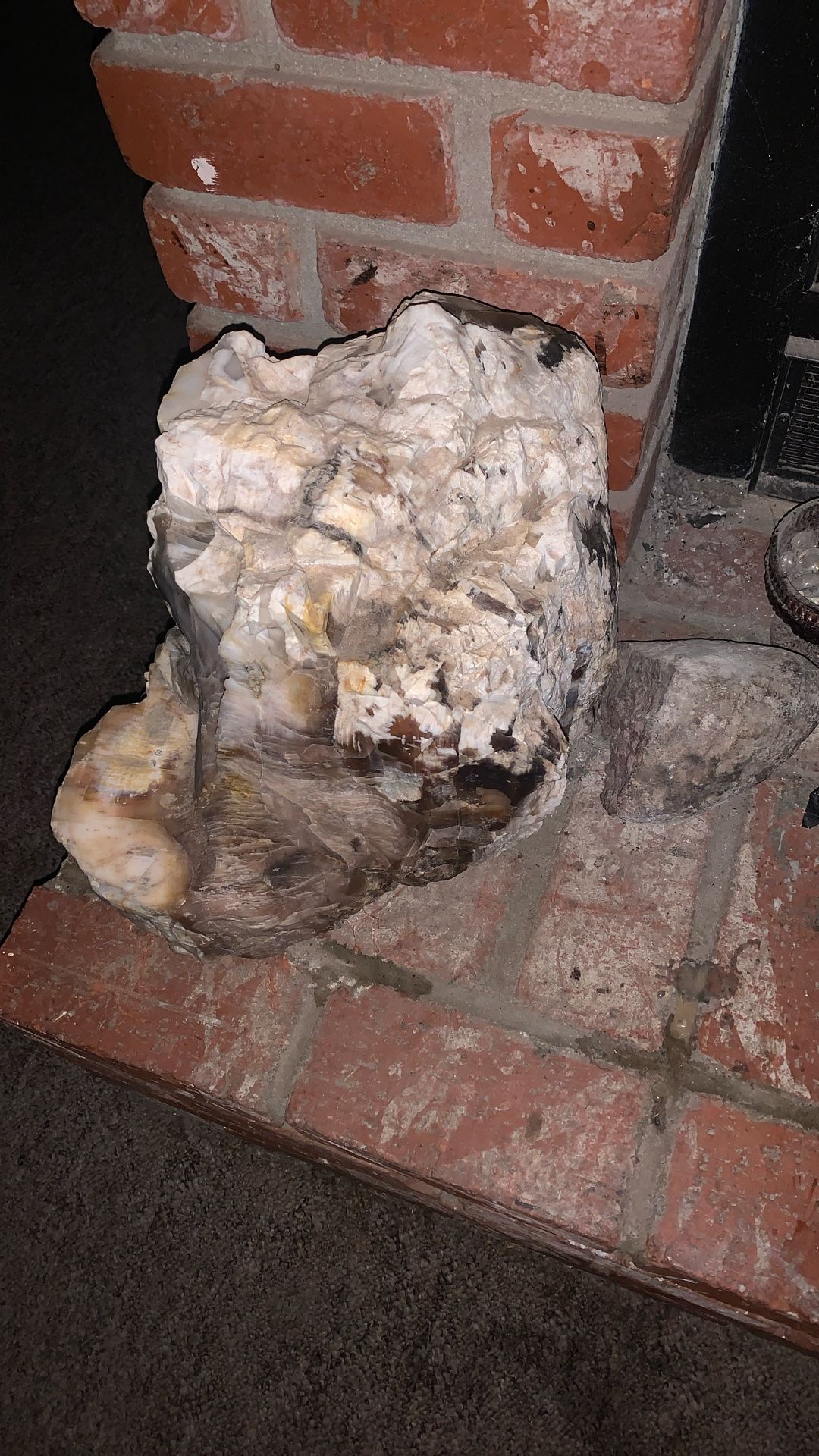 Opalized Petrified Wood