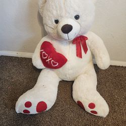 Large Teddy Bear 