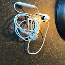 Apple Type C Earbuds New