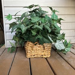 Artificial Ivy Plant In Basket - 20” x 20”