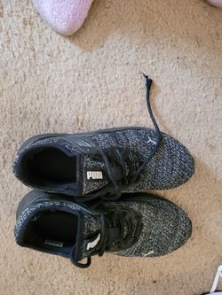 Pumas