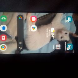 Samsung A15