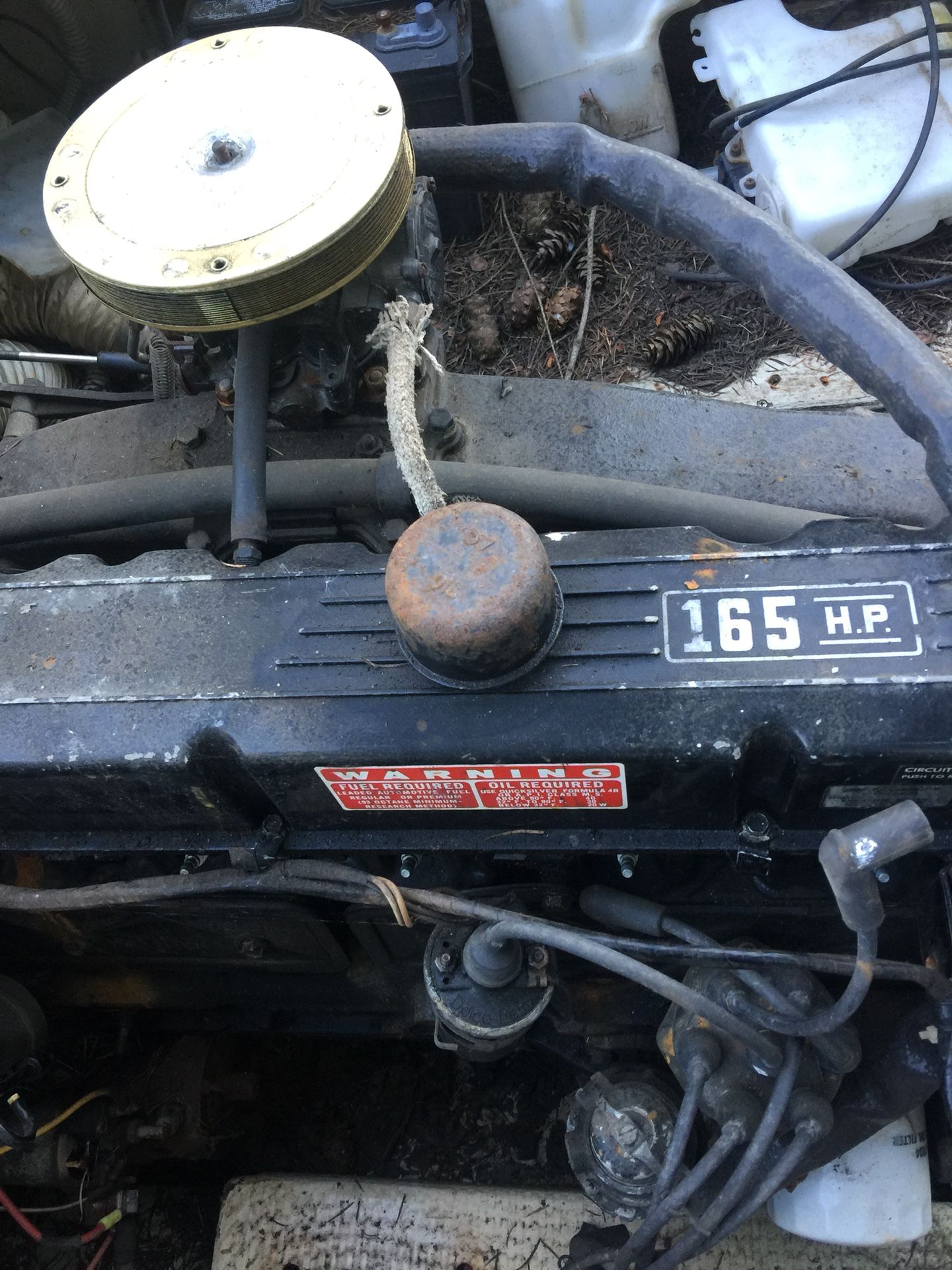 Mercruiser 165 Hp Engine and Outdrive
