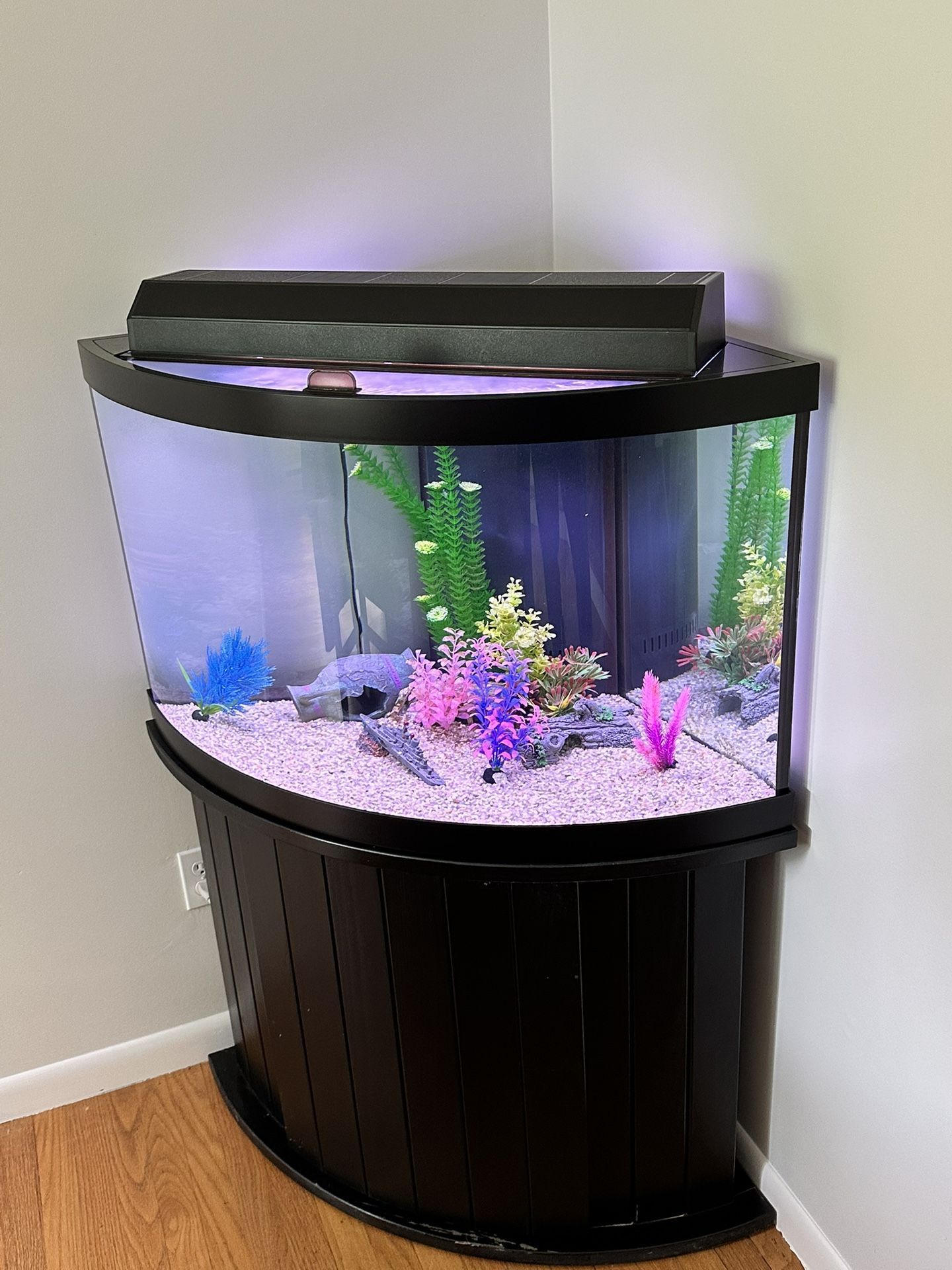 55 Gallon Corner Cabinet Fish Tank